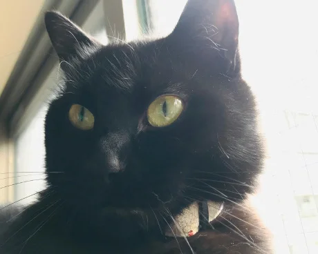 秋葉原でジャンクPCや中古パーツなどを扱ってるショップの一覧