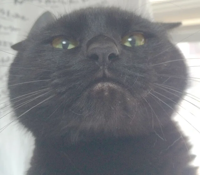 パソコンの買い取りの条件（基準）