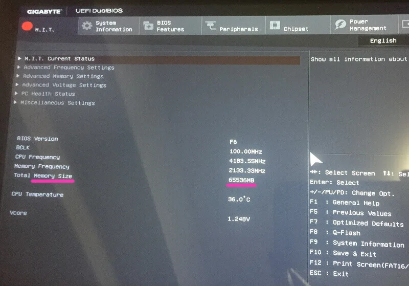 起動後にメモリが64GB載ってることを確認